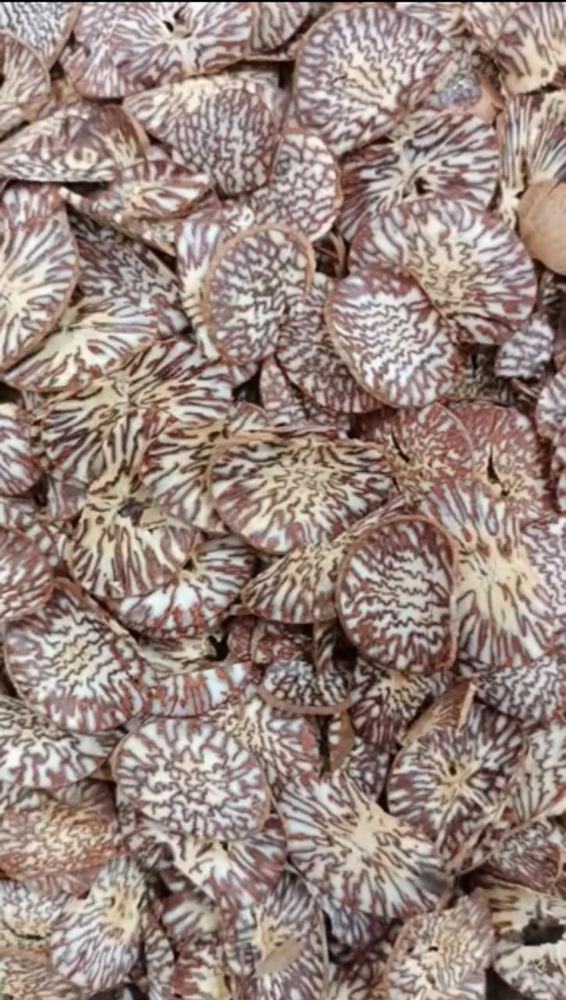 गोल स्लाइस सुपारी, अंदर का धारीदार पैटर्न दिखाती हुई